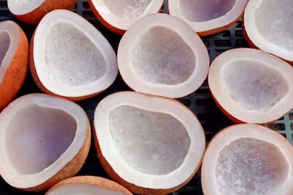 Home whatsapp image 2025 09 13 at 23.58.54