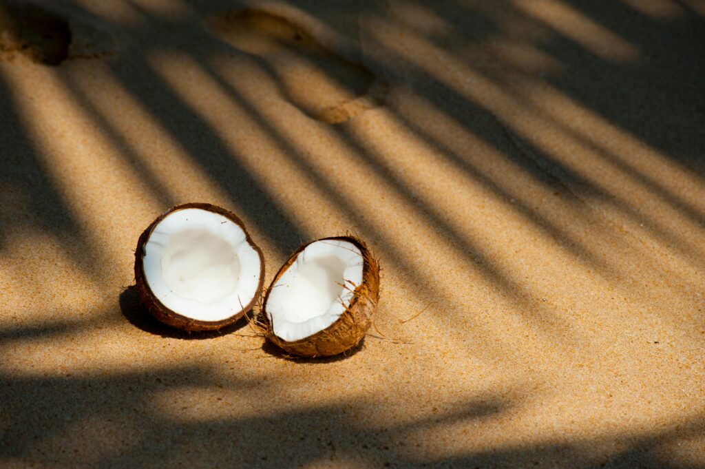 Home Coconut halves resting on a sunlit sandy beach, casting shadows from palm fronds.